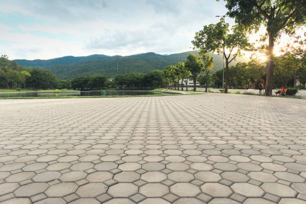 Best Driveway Paving Near Me  in Vista Center, NJ
